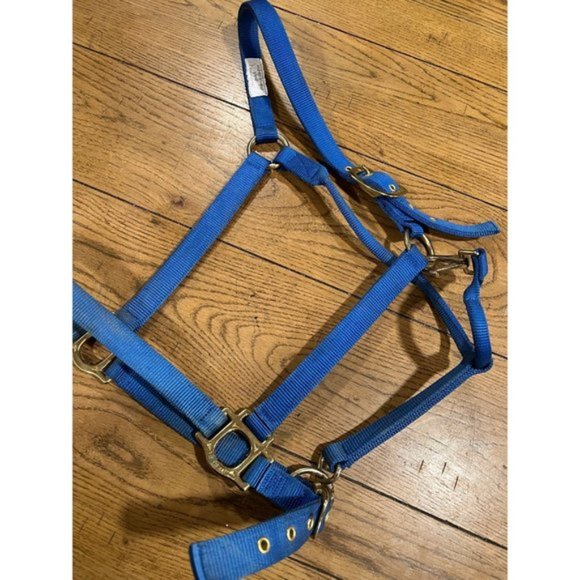 Draft Horse Halter Royal Blue - Picture 2 of 7